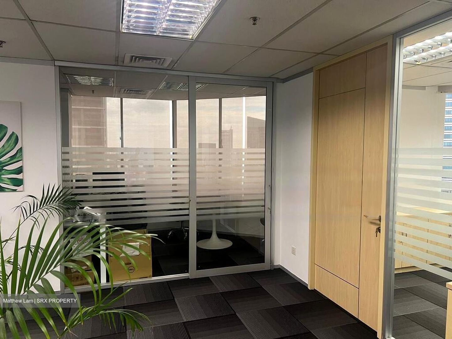 International Plaza (D2), Office #454655901